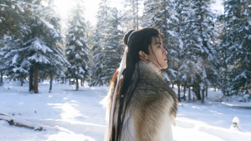 七夜雪」公式サイト｜SPOエンタメ倶楽部